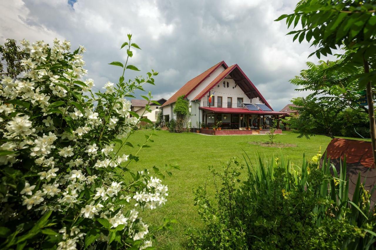 Casa Florilor Hotel Curtea De Arges Exterior photo