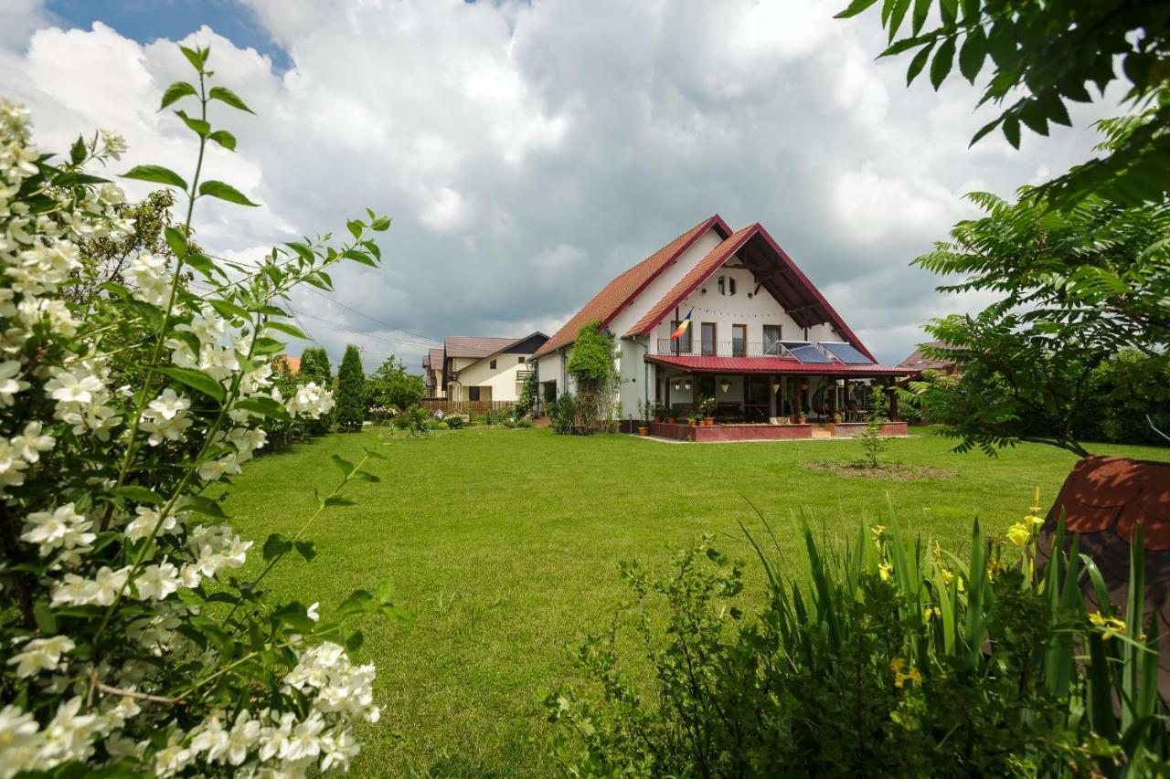 Casa Florilor Hotel Curtea De Arges Exterior photo